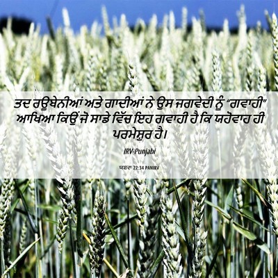 Picture 06 - ਯਸ਼ਵਾ 22:34 PANIRV - ਤਦ ਰਊਬੇਨੀਆਂ ਅਤੇ - Bible Verse Picture