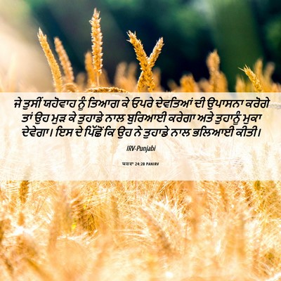 Picture 06 - ਯਸ਼ਵਾ 24:20 PANIRV - ਜੇ ਤੁਸੀਂ ਯਹੋਵਾਹ - Bible Verse Picture