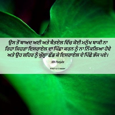 Picture 06 - ਯਸ਼ਵਾ 8:17 PANIRV - ਉਸ ਤੋਂ ਬਾਅਦ ਅਈ ਅਤੇ - Bible Verse Picture
