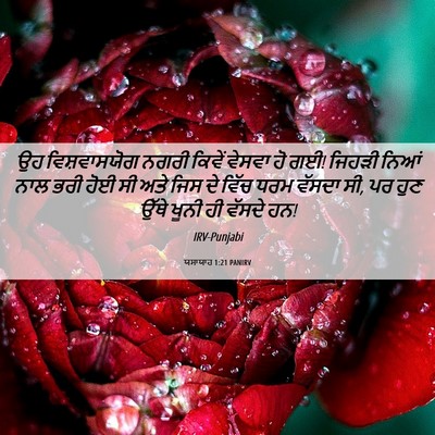 Picture 06 - ਯਸਾਯਾਹ 1:21 PANIRV - ਉਹ ਵਿਸ਼ਵਾਸਯੋਗ - Bible Verse Picture