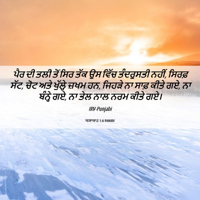Picture 06 - ਯਸਾਯਾਹ 1:6 PANIRV - ਪੈਰ ਦੀ ਤਲੀ ਤੋਂ ਸਿਰ - Bible Verse Picture