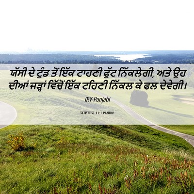 Picture 06 - ਯਸਾਯਾਹ 11:1 PANIRV - ਯੱਸੀ ਦੇ ਟੁੰਡ ਤੋਂ - Bible Verse Picture