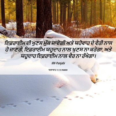 Picture 06 - ਯਸਾਯਾਹ 11:13 PANIRV - ਇਫ਼ਰਾਈਮ ਦੀ ਖੁਣਸ - Bible Verse Picture