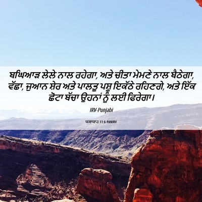 Picture 06 - ਯਸਾਯਾਹ 11:6 PANIRV - ਬਘਿਆੜ ਲੇਲੇ ਨਾਲ - Bible Verse Picture