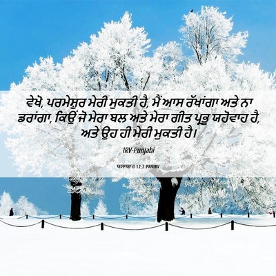 Picture 06 - ਯਸਾਯਾਹ 12:2 PANIRV - ਵੇਖੋ, ਪਰਮੇਸ਼ੁਰ - Bible Verse Picture