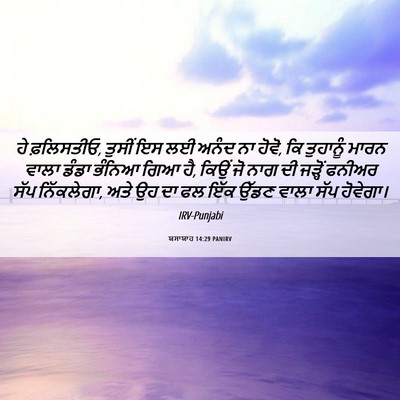 Picture 06 - ਯਸਾਯਾਹ 14:29 PANIRV - ਹੇ ਫ਼ਲਿਸਤੀਓ, ਤੁਸੀਂ - Bible Verse Picture