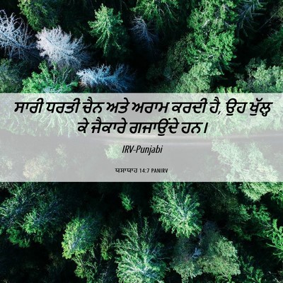 Picture 06 - ਯਸਾਯਾਹ 14:7 PANIRV - ਸਾਰੀ ਧਰਤੀ ਚੈਨ ਅਤੇ - Bible Verse Picture