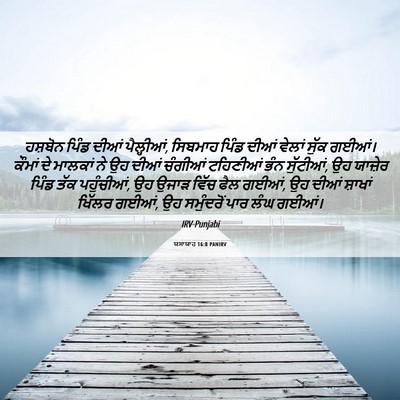 Picture 06 - ਯਸਾਯਾਹ 16:8 PANIRV - ਹਸ਼ਬੋਨ ਪਿੰਡ ਦੀਆਂ - Bible Verse Picture