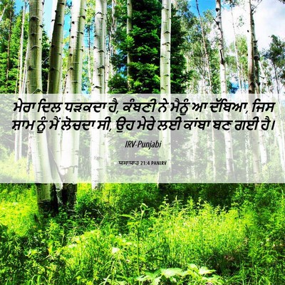 Picture 06 - ਯਸਾਯਾਹ 21:4 PANIRV - ਮੇਰਾ ਦਿਲ ਧੜਕਦਾ ਹੈ, - Bible Verse Picture