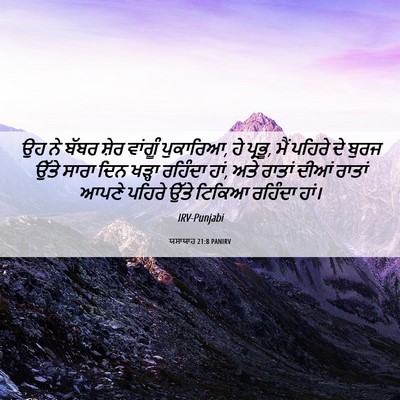 Picture 06 - ਯਸਾਯਾਹ 21:8 PANIRV - ਉਹ ਨੇ ਬੱਬਰ ਸ਼ੇਰ - Bible Verse Picture