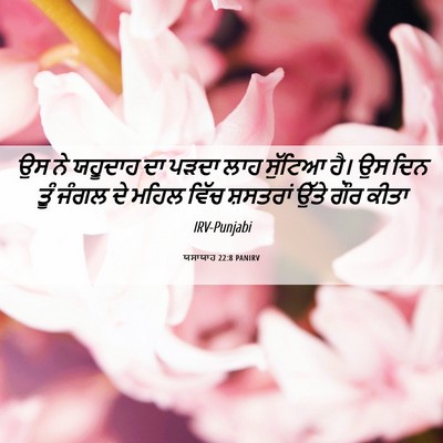 Picture 06 - ਯਸਾਯਾਹ 22:8 PANIRV - ਉਸ ਨੇ ਯਹੂਦਾਹ ਦਾ - Bible Verse Picture