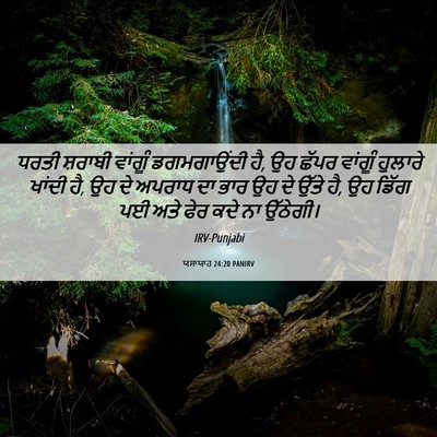 Picture 06 - ਯਸਾਯਾਹ 24:20 PANIRV - ਧਰਤੀ ਸ਼ਰਾਬੀ - Bible Verse Picture