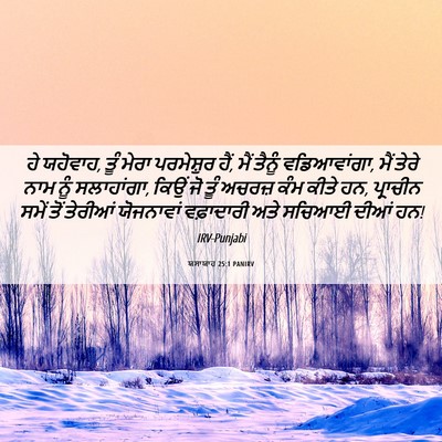 Picture 06 - ਯਸਾਯਾਹ 25:1 PANIRV - ਹੇ ਯਹੋਵਾਹ, ਤੂੰ ਮੇਰਾ - Bible Verse Picture