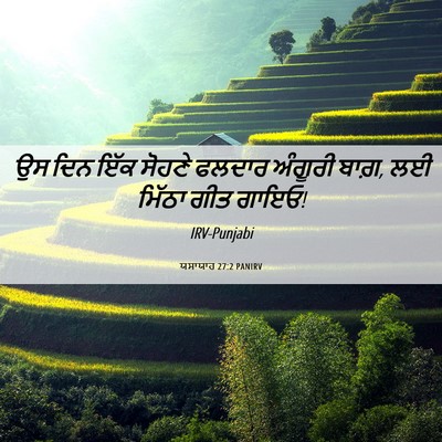 Picture 06 - ਯਸਾਯਾਹ 27:2 PANIRV - ਉਸ ਦਿਨ ਇੱਕ ਸੋਹਣੇ - Bible Verse Picture