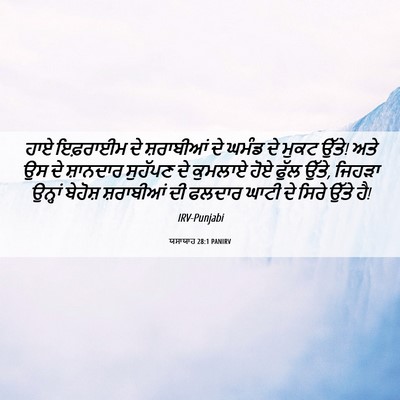 Picture 06 - ਯਸਾਯਾਹ 28:1 PANIRV - ਹਾਏ ਇਫ਼ਰਾਈਮ ਦੇ - Bible Verse Picture