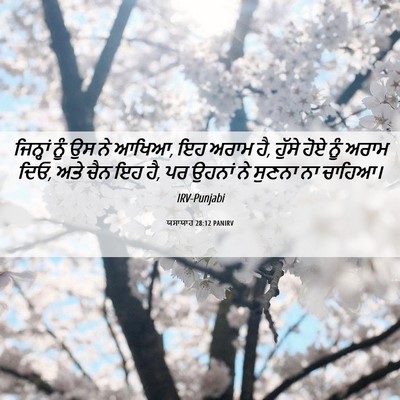 Picture 06 - ਯਸਾਯਾਹ 28:12 PANIRV - ਜਿਨ੍ਹਾਂ ਨੂੰ ਉਸ ਨੇ - Bible Verse Picture