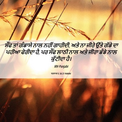 Picture 06 - ਯਸਾਯਾਹ 28:27 PANIRV - ਸੌਂਫ ਤਾਂ ਗੰਡਾਸੇ - Bible Verse Picture