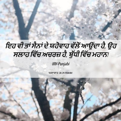 Picture 06 - ਯਸਾਯਾਹ 28:29 PANIRV - ਇਹ ਵੀ ਤਾਂ ਸੈਨਾਂ ਦੇ - Bible Verse Picture