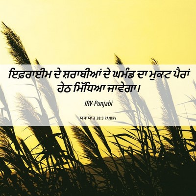 Picture 06 - ਯਸਾਯਾਹ 28:3 PANIRV - ਇਫ਼ਰਾਈਮ ਦੇ - Bible Verse Picture