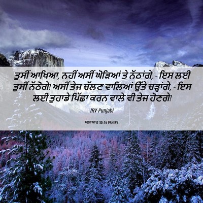 Picture 06 - ਯਸਾਯਾਹ 30:16 PANIRV - ਤੁਸੀਂ ਆਖਿਆ, ਨਹੀਂ - Bible Verse Picture