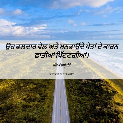 Picture 06 - ਯਸਾਯਾਹ 32:12 PANIRV - ਉਹ ਫਲਦਾਰ ਵੇਲ ਅਤੇ - Bible Verse Picture