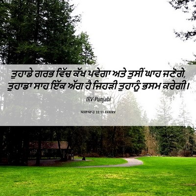 Picture 06 - ਯਸਾਯਾਹ 33:11 PANIRV - ਤੁਹਾਡੇ ਗਰਭ ਵਿੱਚ - Bible Verse Picture