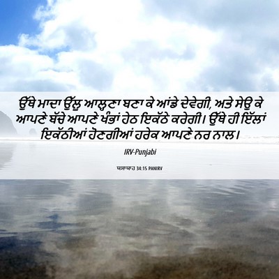 Picture 06 - ਯਸਾਯਾਹ 34:15 PANIRV - ਉੱਥੇ ਮਾਦਾ ਉੱਲੂ - Bible Verse Picture