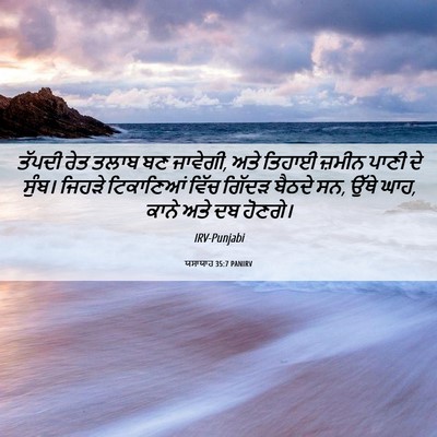 Picture 06 - ਯਸਾਯਾਹ 35:7 PANIRV - ਤੱਪਦੀ ਰੇਤ ਤਲਾਬ ਬਣ - Bible Verse Picture
