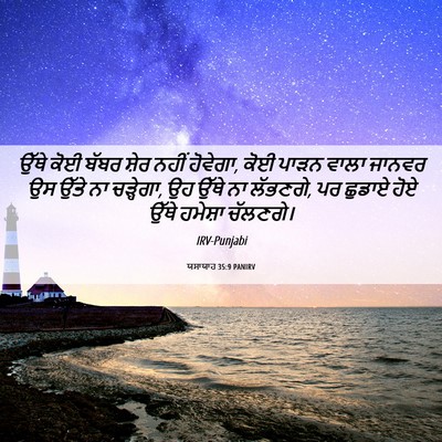 Picture 06 - ਯਸਾਯਾਹ 35:9 PANIRV - ਉੱਥੇ ਕੋਈ ਬੱਬਰ ਸ਼ੇਰ - Bible Verse Picture
