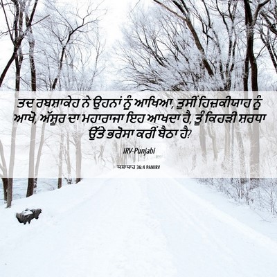 Picture 06 - ਯਸਾਯਾਹ 36:4 PANIRV - ਤਦ ਰਬਸ਼ਾਕੇਹ ਨੇ - Bible Verse Picture