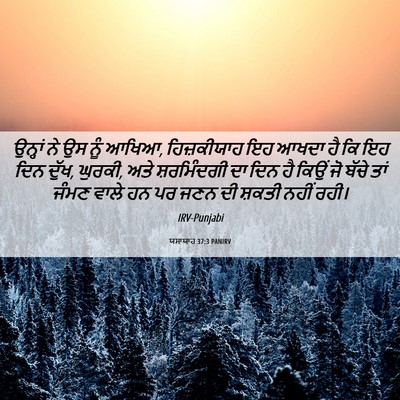 Picture 06 - ਯਸਾਯਾਹ 37:3 PANIRV - ਉਨ੍ਹਾਂ ਨੇ ਉਸ ਨੂੰ - Bible Verse Picture