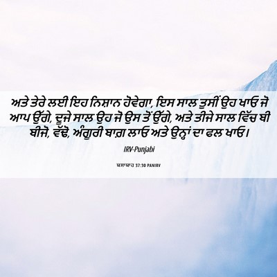 Picture 06 - ਯਸਾਯਾਹ 37:30 PANIRV - ਅਤੇ ਤੇਰੇ ਲਈ ਇਹ - Bible Verse Picture