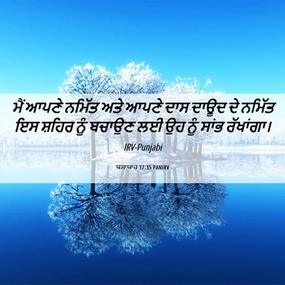 Picture 06 - ਯਸਾਯਾਹ 37:35 PANIRV - ਮੈਂ ਆਪਣੇ ਨਮਿੱਤ ਅਤੇ - Bible Verse Picture