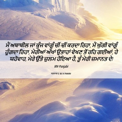 Picture 06 - ਯਸਾਯਾਹ 38:14 PANIRV - ਮੈਂ ਅਬਾਬੀਲ ਜਾਂ - Bible Verse Picture