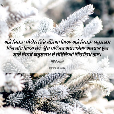 Picture 06 - ਯਸਾਯਾਹ 4:3 PANIRV - ਅਤੇ ਜਿਹੜਾ ਸੀਯੋਨ - Bible Verse Picture