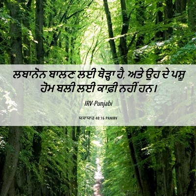 Picture 06 - ਯਸਾਯਾਹ 40:16 PANIRV - ਲਬਾਨੋਨ ਬਾਲਣ ਲਈ - Bible Verse Picture