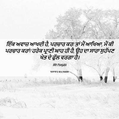 Picture 06 - ਯਸਾਯਾਹ 40:6 PANIRV - ਇੱਕ ਅਵਾਜ਼ ਆਖਦੀ ਹੈ, - Bible Verse Picture