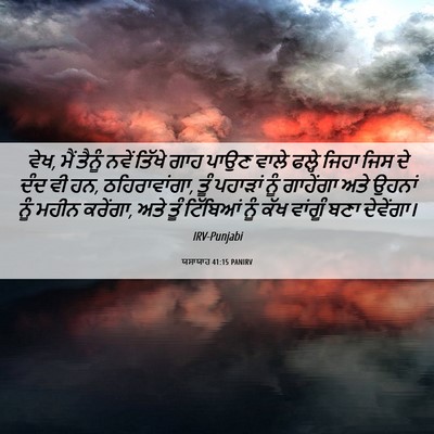 Picture 06 - ਯਸਾਯਾਹ 41:15 PANIRV - ਵੇਖ, ਮੈਂ ਤੈਨੂੰ ਨਵੇਂ - Bible Verse Picture