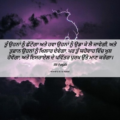 Picture 06 - ਯਸਾਯਾਹ 41:16 PANIRV - ਤੂੰ ਉਹਨਾਂ ਨੂੰ - Bible Verse Picture