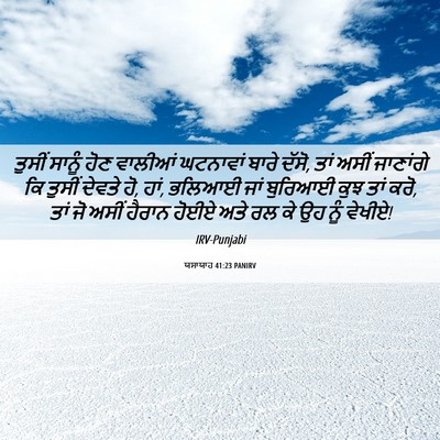 Picture 06 - ਯਸਾਯਾਹ 41:23 PANIRV - ਤੁਸੀਂ ਸਾਨੂੰ ਹੋਣ - Bible Verse Picture