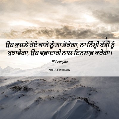 Picture 06 - ਯਸਾਯਾਹ 42:3 PANIRV - ਉਹ ਕੁਚਲੇ ਹੋਏ ਕਾਨੇ - Bible Verse Picture