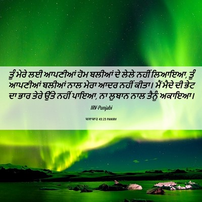 Picture 06 - ਯਸਾਯਾਹ 43:23 PANIRV - ਤੂੰ ਮੇਰੇ ਲਈ ਆਪਣੀਆਂ - Bible Verse Picture