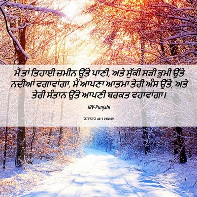 Picture 06 - ਯਸਾਯਾਹ 44:3 PANIRV - ਮੈਂ ਤਾਂ ਤਿਹਾਈ - Bible Verse Picture