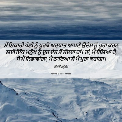 Picture 06 - ਯਸਾਯਾਹ 46:11 PANIRV - ਮੈਂ ਸ਼ਿਕਾਰੀ ਪੰਛੀ - Bible Verse Picture
