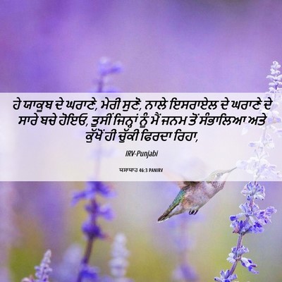 Picture 06 - ਯਸਾਯਾਹ 46:3 PANIRV - ਹੇ ਯਾਕੂਬ ਦੇ ਘਰਾਣੇ, - Bible Verse Picture