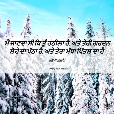 Picture 06 - ਯਸਾਯਾਹ 48:4 PANIRV - ਮੈਂ ਜਾਣਦਾ ਸੀ ਕਿ ਤੂੰ - Bible Verse Picture