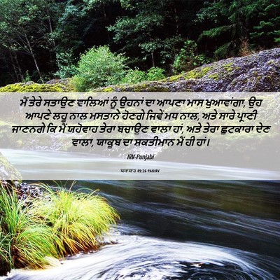 Picture 06 - ਯਸਾਯਾਹ 49:26 PANIRV - ਮੈਂ ਤੇਰੇ ਸਤਾਉਣ - Bible Verse Picture