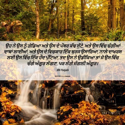 Picture 06 - ਯਸਾਯਾਹ 5:2 PANIRV - ਉਹ ਨੇ ਉਸ ਨੂੰ ਗੋਡਿਆ - Bible Verse Picture