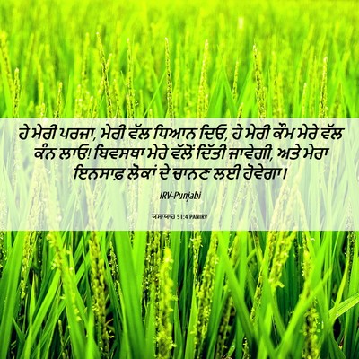 Picture 06 - ਯਸਾਯਾਹ 51:4 PANIRV - ਹੇ ਮੇਰੀ ਪਰਜਾ, ਮੇਰੀ - Bible Verse Picture