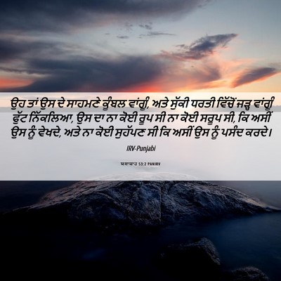 Picture 06 - ਯਸਾਯਾਹ 53:2 PANIRV - ਉਹ ਤਾਂ ਉਸ ਦੇ ਸਾਹਮਣੇ - Bible Verse Picture